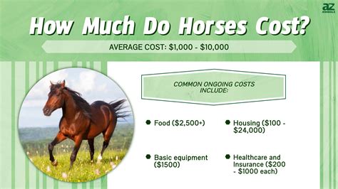 How much does it cost to own a horse. Things To Know About How much does it cost to own a horse. 